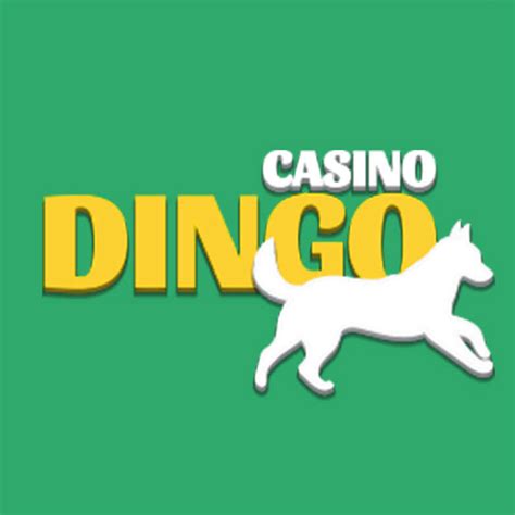 Dingo casino Nicaragua